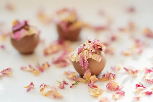 Otto Kasino Apl Android/iOS